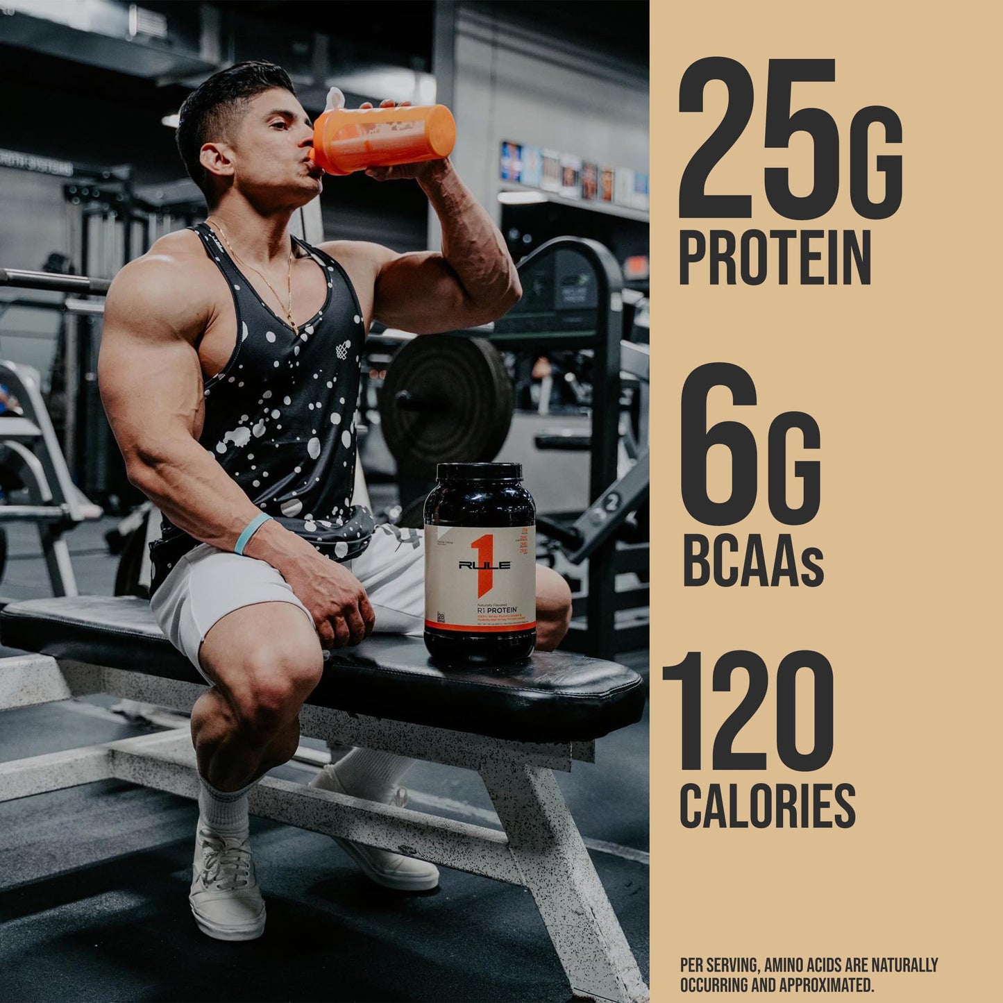 Rule1 R1 100% Whey Protein Isolate and Hydrolysate Protein Powder 1.72 lb, Dark Chocolate Naturally Flavoured (24 Servings)