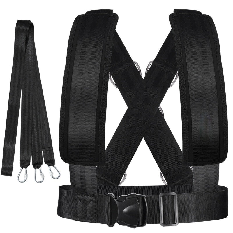 Sled Harness