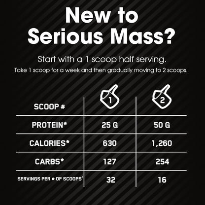 Optimum Nutrition Serious Mass Gainer Protein Powder, Banana, 12 Pound