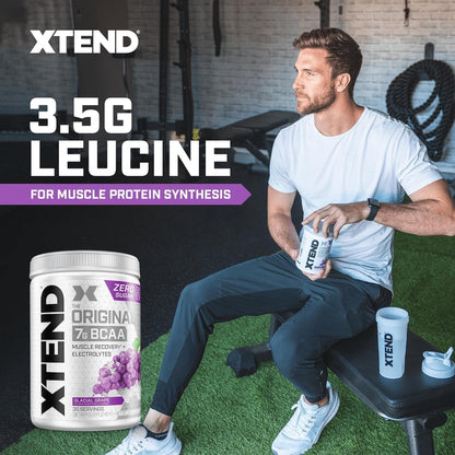 Scivation Xtend BCAA Powder, Strawberry Kiwi, 90 Servings