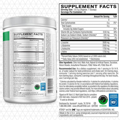 Scivation Xtend BCAA Powder, Strawberry Kiwi, 90 Servings