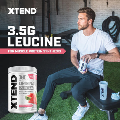 Scivation Xtend BCAA Powder, Strawberry Kiwi, 90 Servings